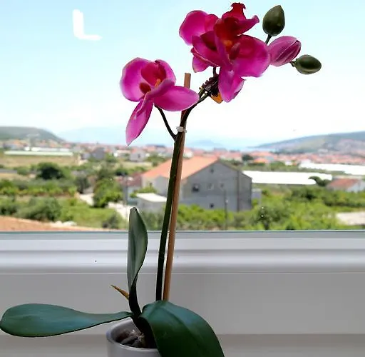 Appartement Carmen *